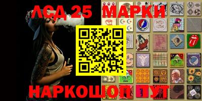 PSILOCYBIN Можга