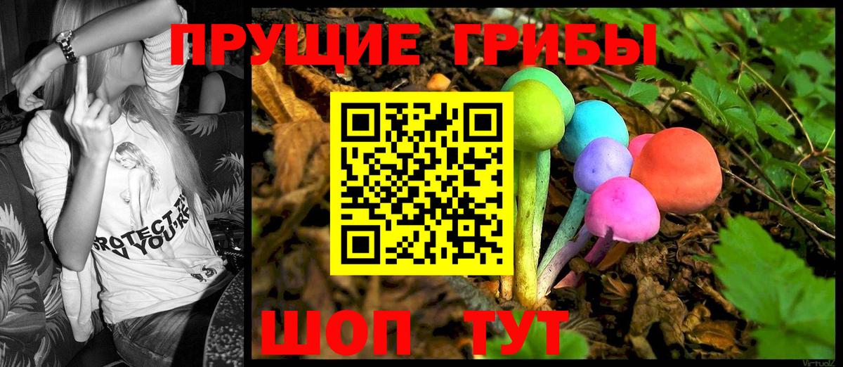 Галлюциногенные грибы Cubensis Топки